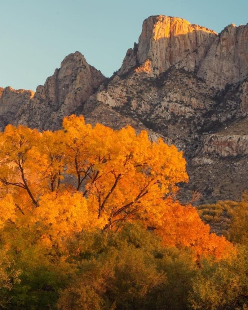 Catalina State Park