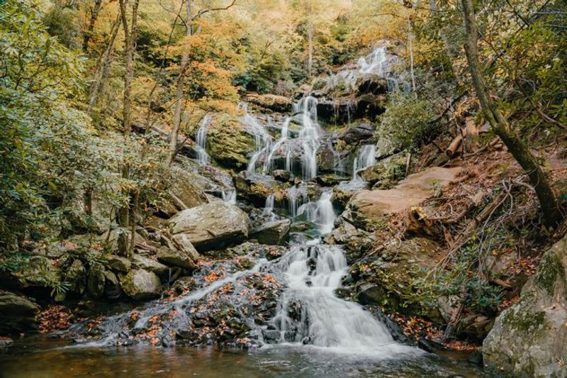 Catawba Falls Cascades Through Mossy Forest Catawba Falls Cascades Through Mossy Forest