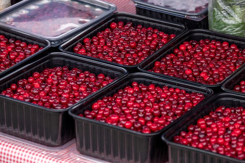 Celebrate At The Chatsworth Cranberry Festival