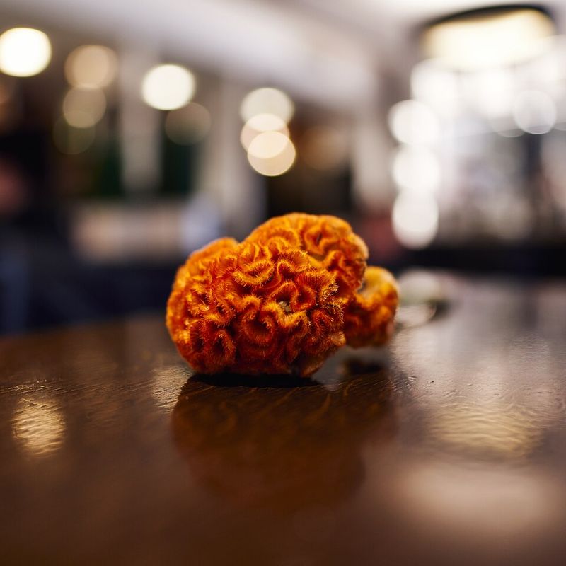 Celosia