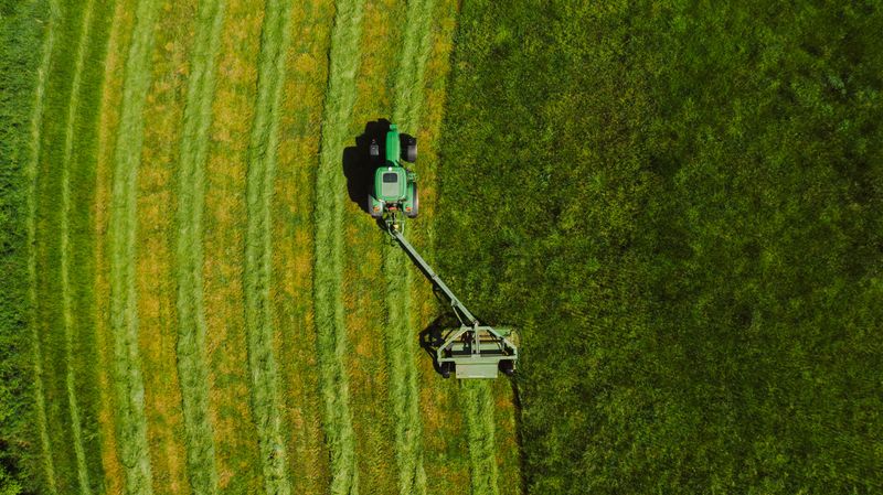 Change Your Mowing Pattern Regularly