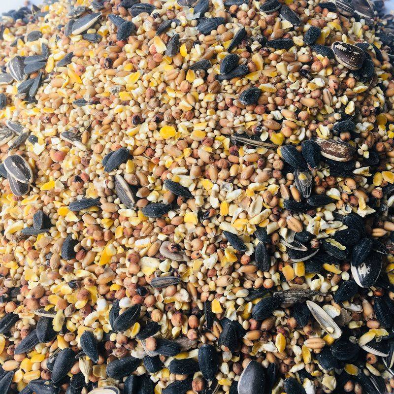 Cheap Blends Often Hide Extra Grains You Did Not Expect