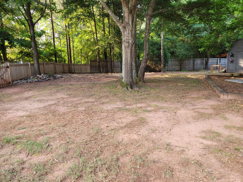 Check For Shade, Compaction, Or Poor Drainage Check For Shade, Compaction, Or Poor Drainage