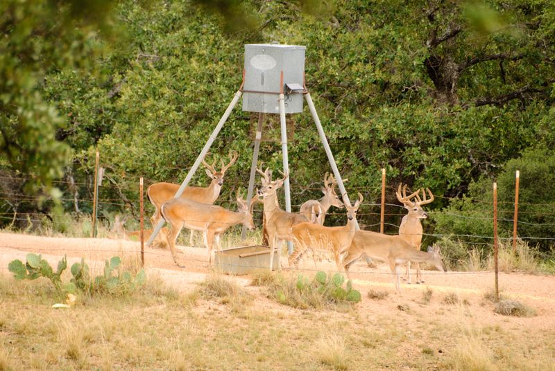 Check Michigan Wildlife Rules Before You Share Check Michigan Wildlife Rules Before You Share