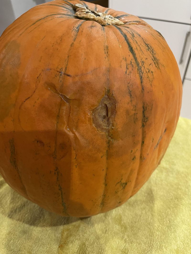 Check Often And Use Damaged Fruit First Check Often And Use Damaged Fruit First