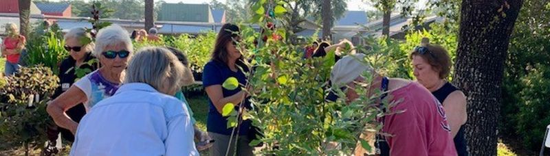 Check Your County’s Master Gardener Plant Nursery Check Your County’s Master Gardener Plant Nursery