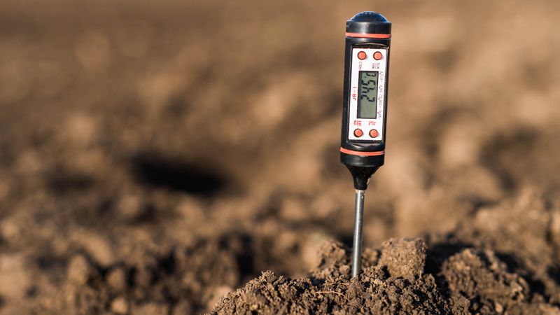 Check Your Soil Thermometer Before Spreading Grass Seed Check Your Soil Thermometer Before Spreading Grass Seed
