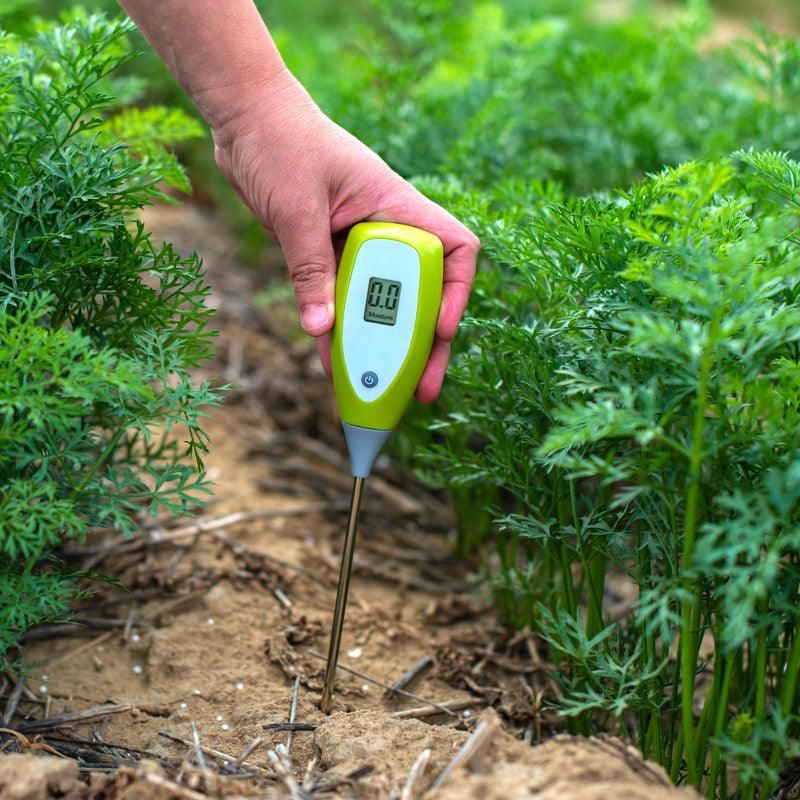 Check soil moisture before changing irrigation