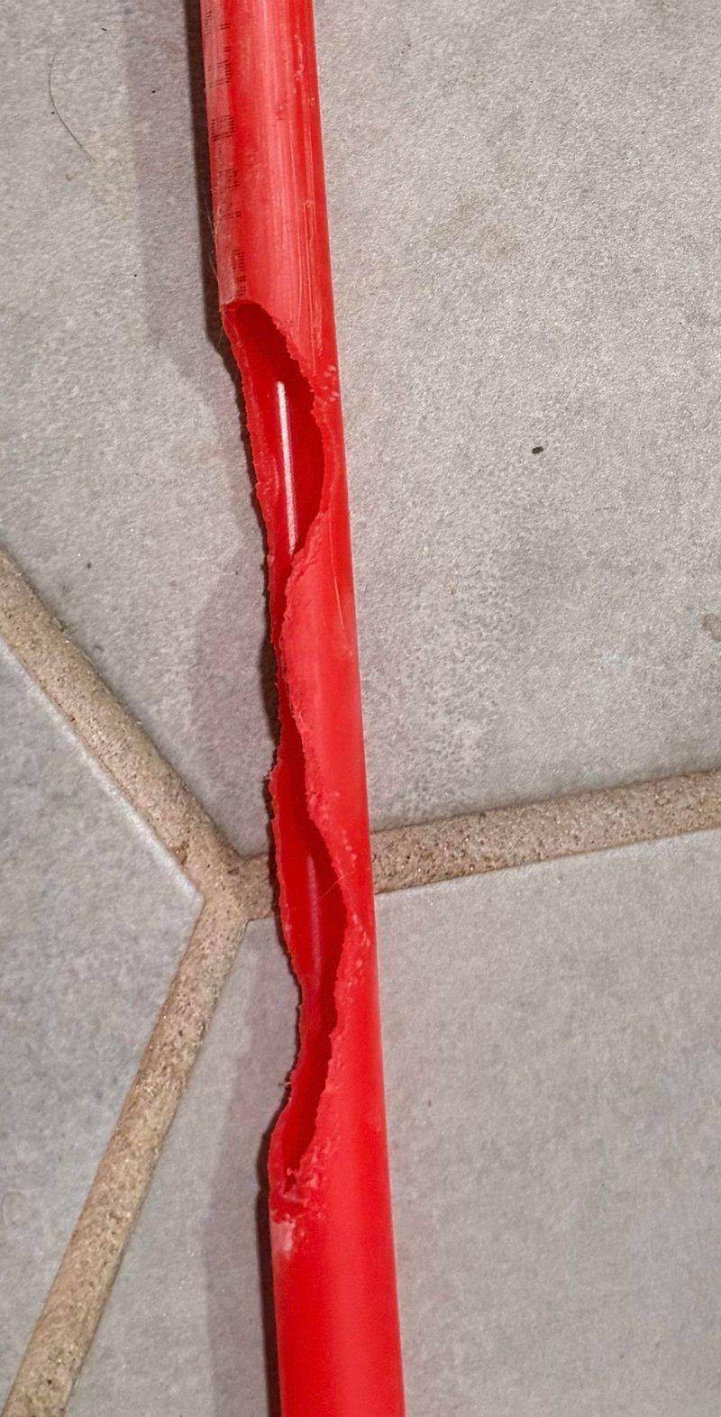 Chewed Edges On Your Garden Gear Are A Clue