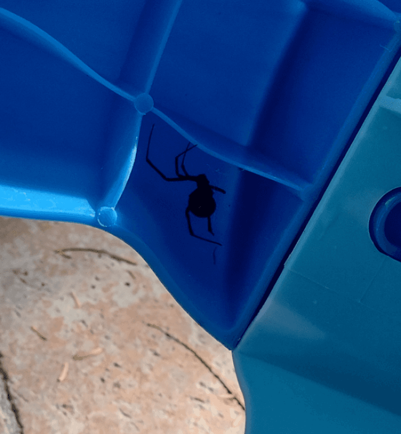 Children's Outdoor Toys and Play Equipment Children's Outdoor Toys and Play Equipment