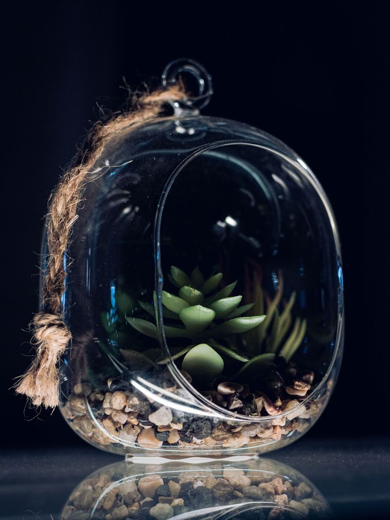 Choose A Clear Glass Container