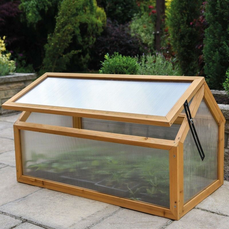 Choose A Safe, Clear Lid Choose A Safe, Clear Lid