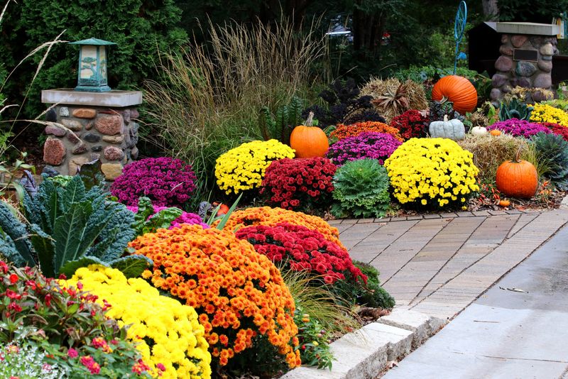 Choose A Sunny, Well-Drained Spot In Your Yard Choose A Sunny, Well-Drained Spot In Your Yard