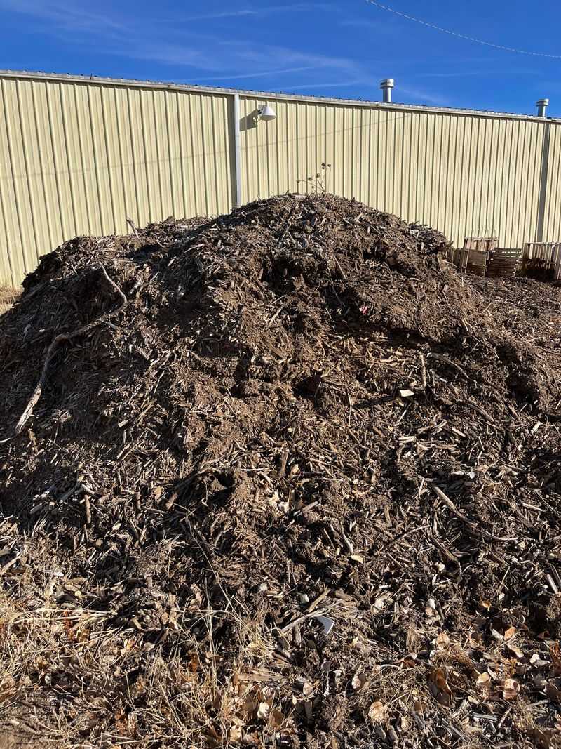 Choose Aged Material Over Fresh Chips