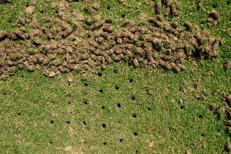 Choose Core Aeration Over Spike Aeration