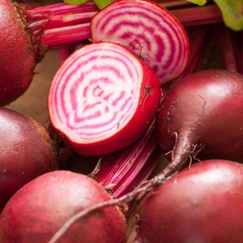 Choose Desert-Adapted or Bolt-Resistant Varieties Choose Desert-Adapted or Bolt-Resistant Varieties