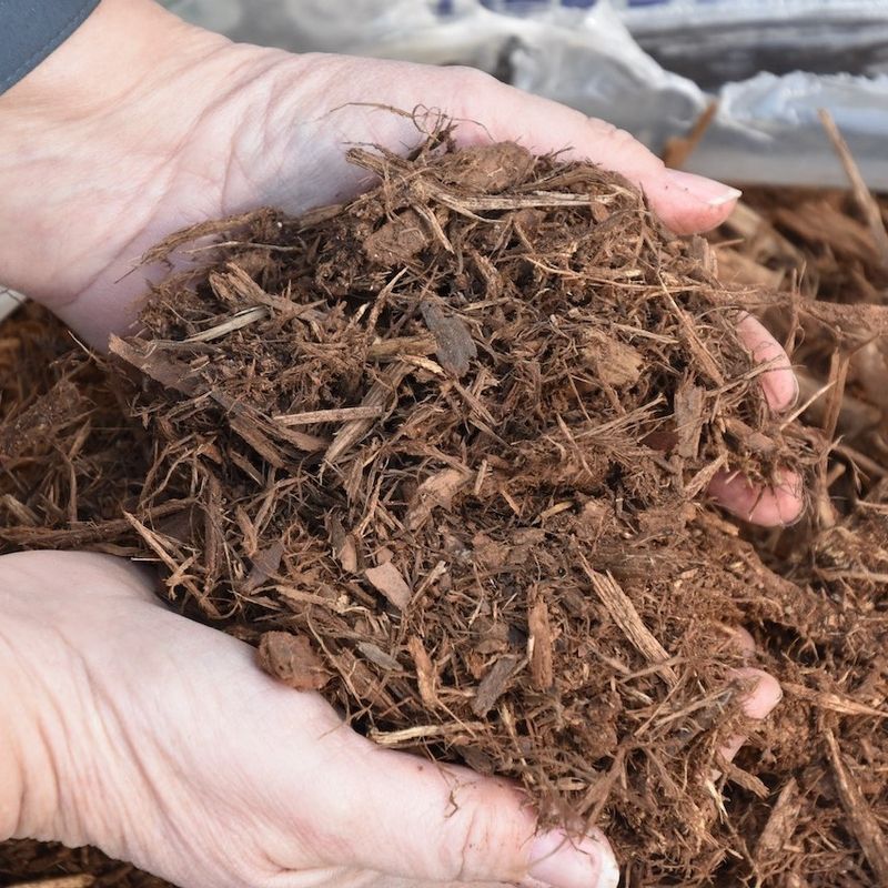 Choose The Right Type Of Mulch