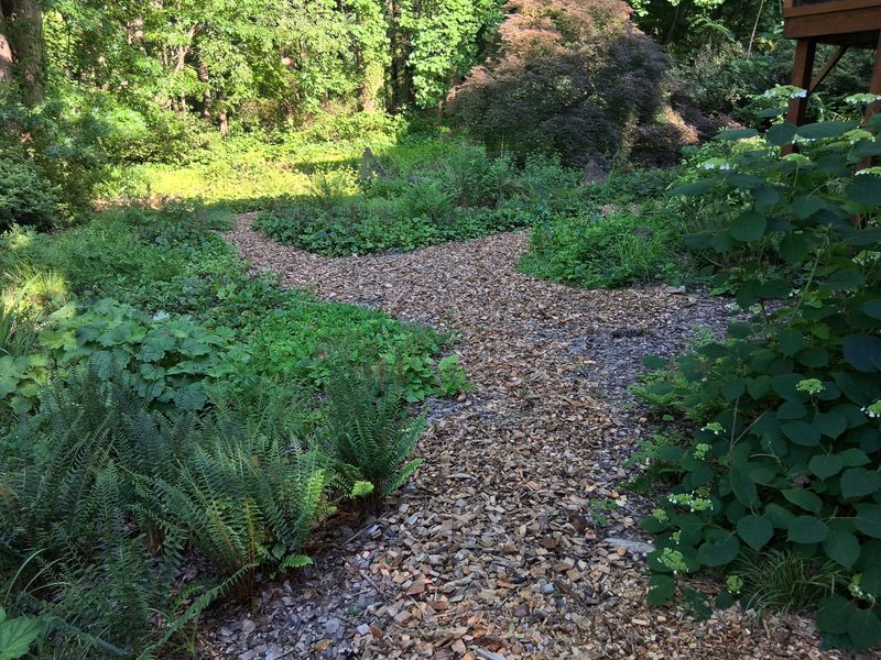 Choose Wood Chips For Paths And Tree Rings Choose Wood Chips For Paths And Tree Rings