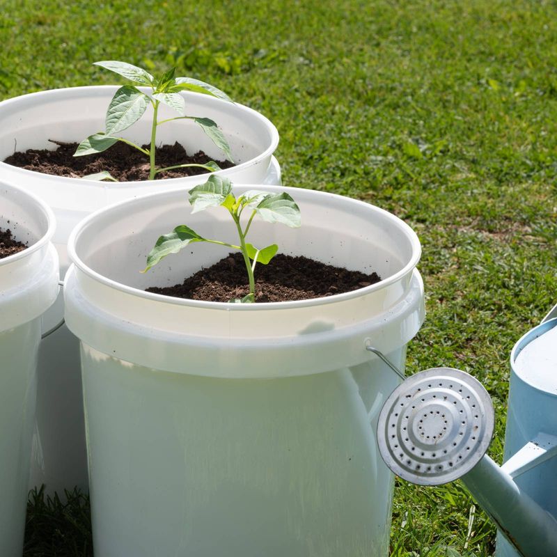 Choose a container that protects the growing zone Choose a container that protects the growing zone