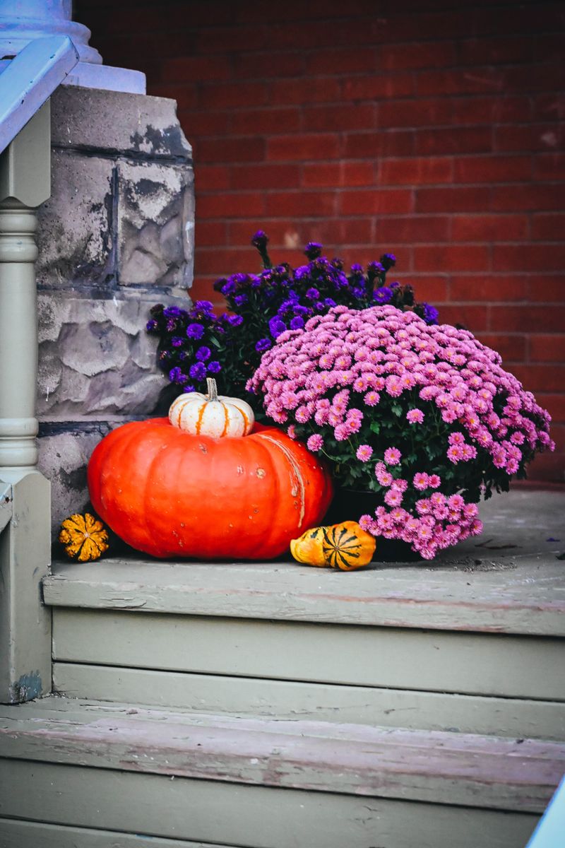 Cinderella Pumpkins With Fairy Tale Charm