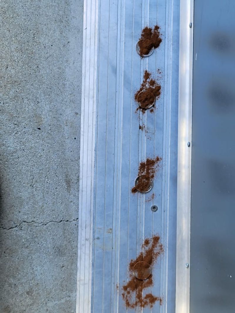 Cinnamon Heats Up The Doorway