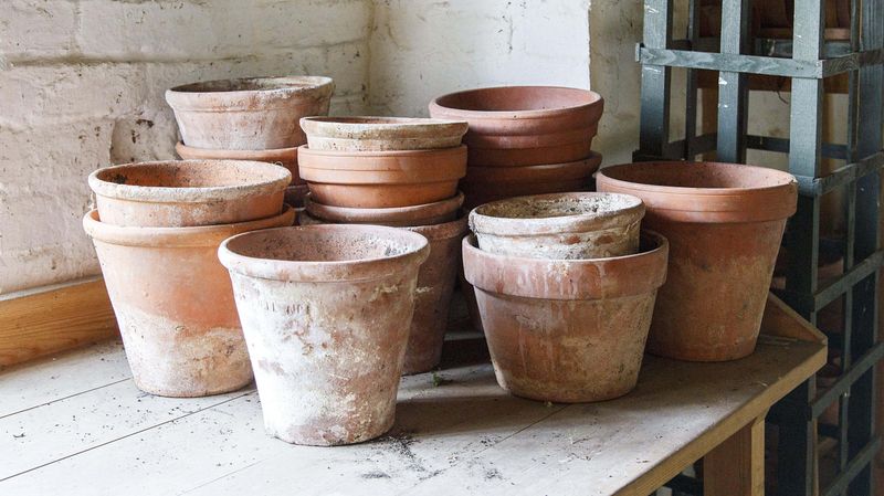 Clay Pots Hold Secrets In Their Walls Clay Pots Hold Secrets In Their Walls