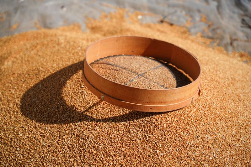 Clean Away Chaff And Debris Clean Away Chaff And Debris