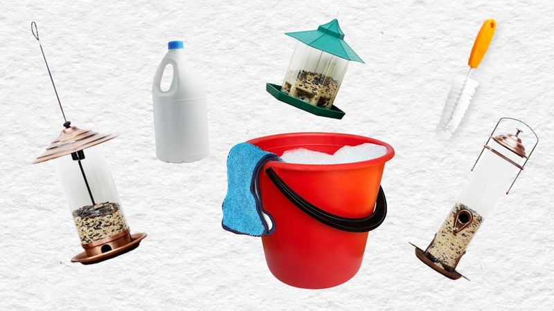 Clean Feeders Regularly To Prevent Disease Clean Feeders Regularly To Prevent Disease