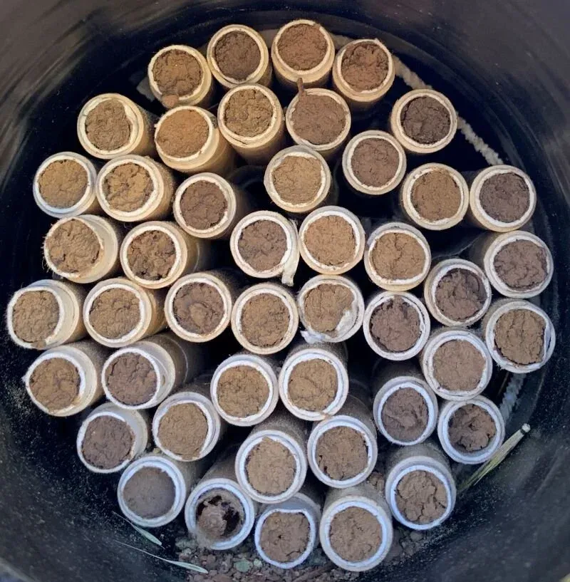 Clean Nesting Tubes Keep Mites and Mold Away