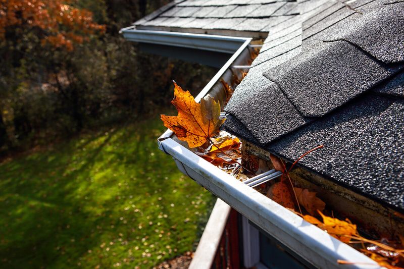 Clean Out Gutters And Drains Around Your Garden Clean Out Gutters And Drains Around Your Garden