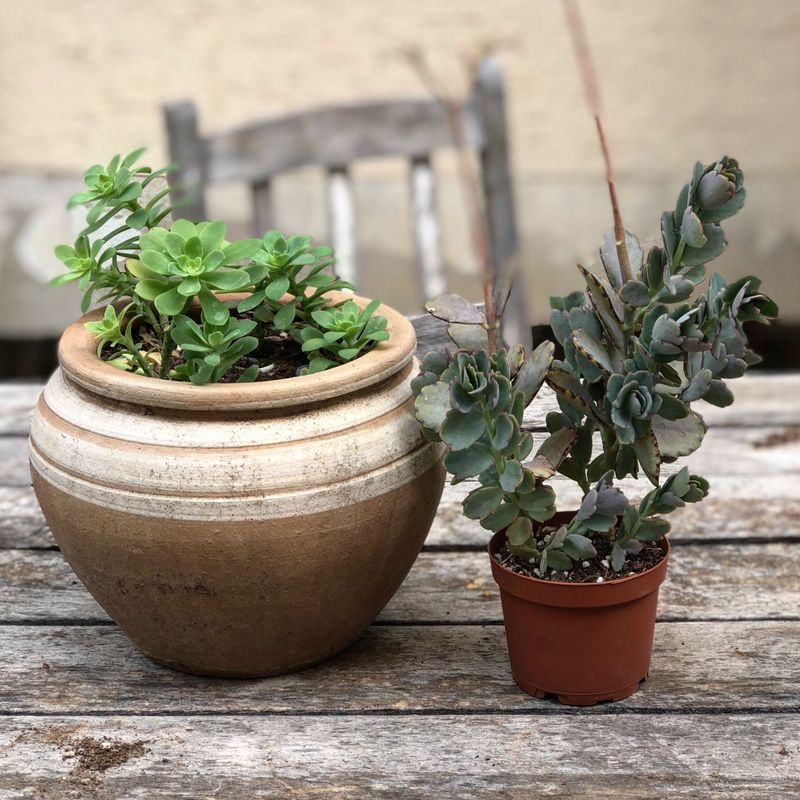 Clean The Outside Of Every Pot