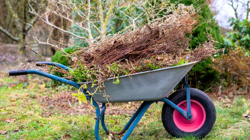 Clean Up New York Beds Without Overdoing It Clean Up New York Beds Without Overdoing It