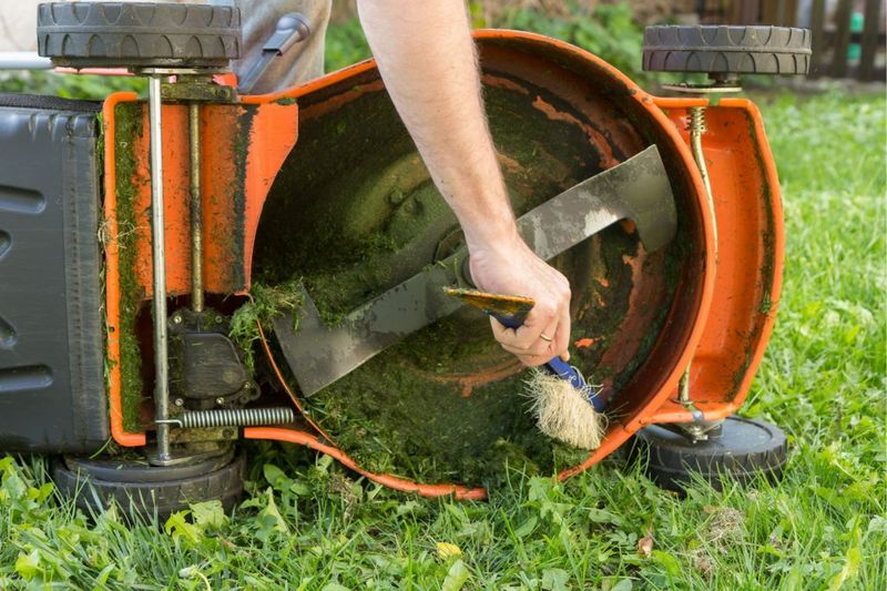 Clean Your Mower After Cutting Infested Areas