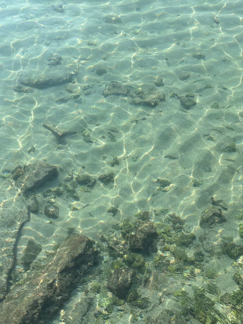 Cleaner Water Means More Fish Cleaner Water Means More Fish