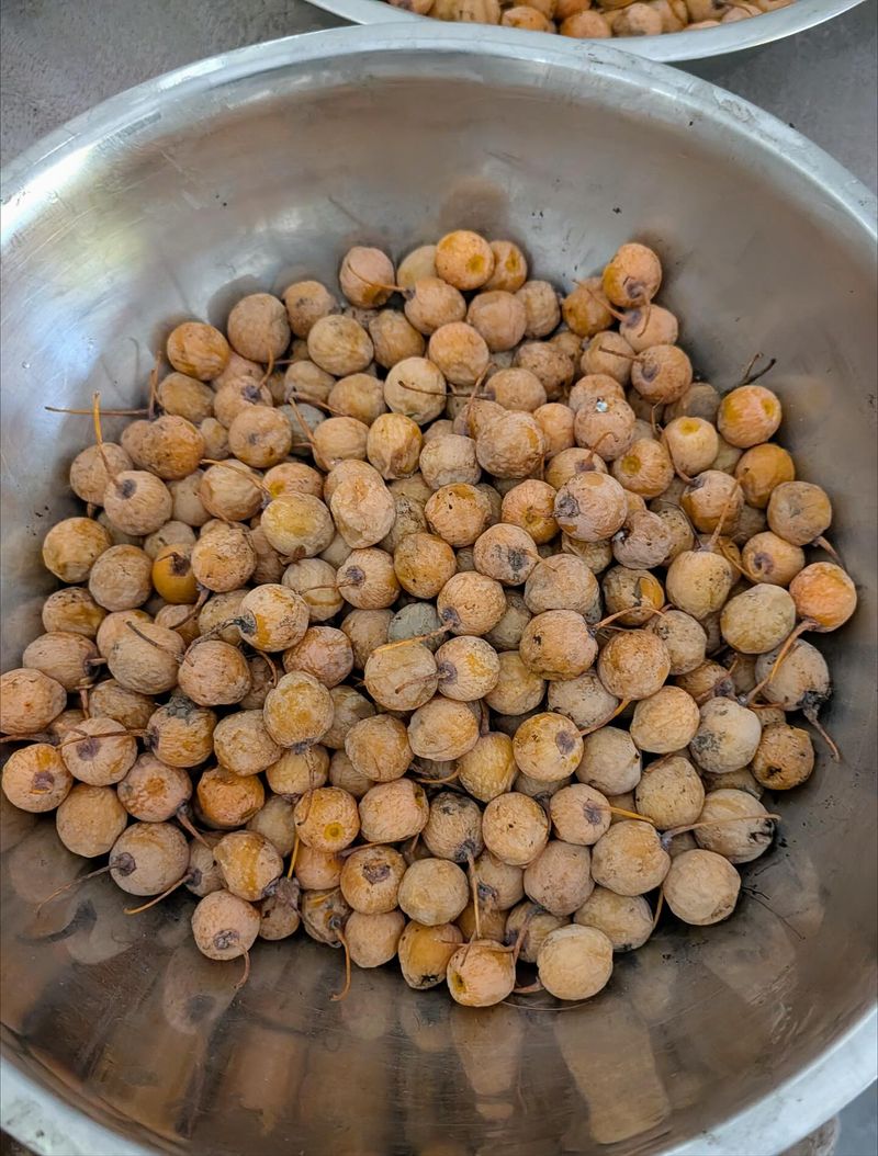 Cleanup Steps That Reduce Lingering Odor Cleanup Steps That Reduce Lingering Odor