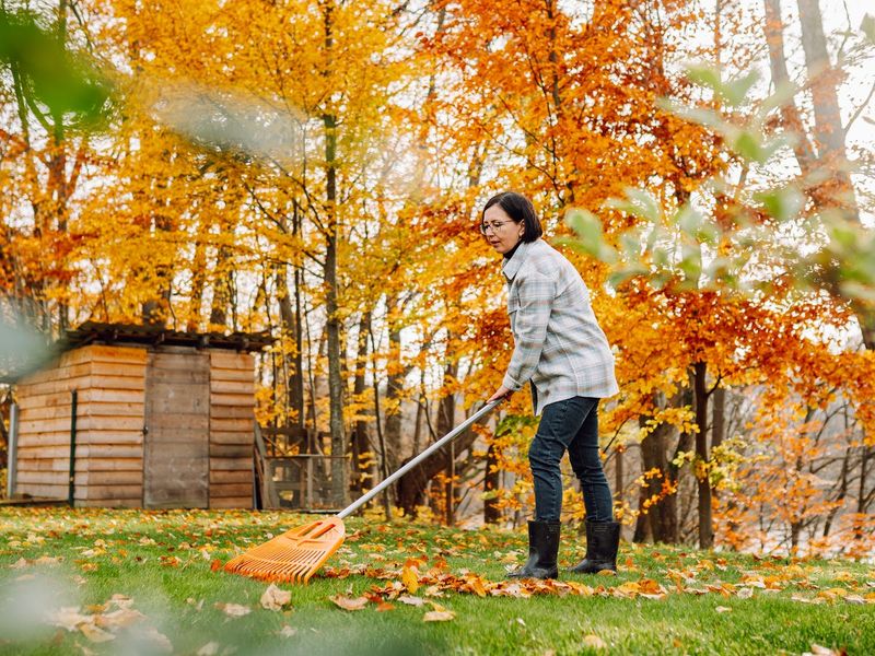 Clear Away Leaves Before The First Snowfall