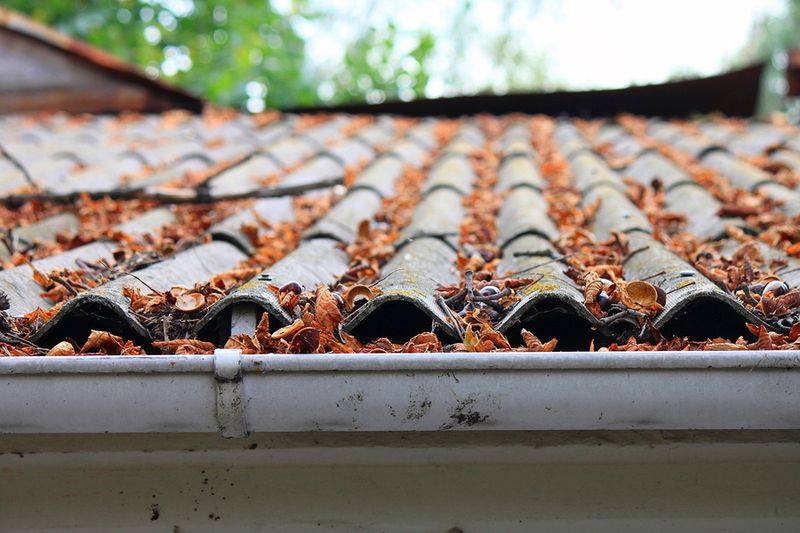 Clear Debris Off Roofs And Gutters