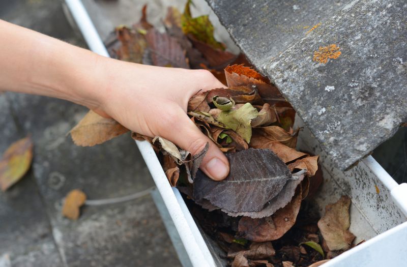 Clear Dry Leaves From Roofs And Gutters