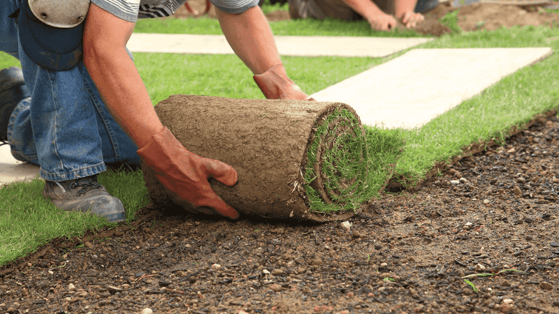 Clear Out All The Old Turf Before Sodding