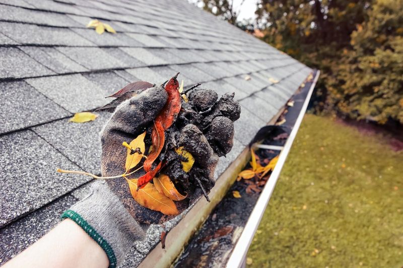Clear Roofs And Gutters Of Dry Leaves Clear Roofs And Gutters Of Dry Leaves