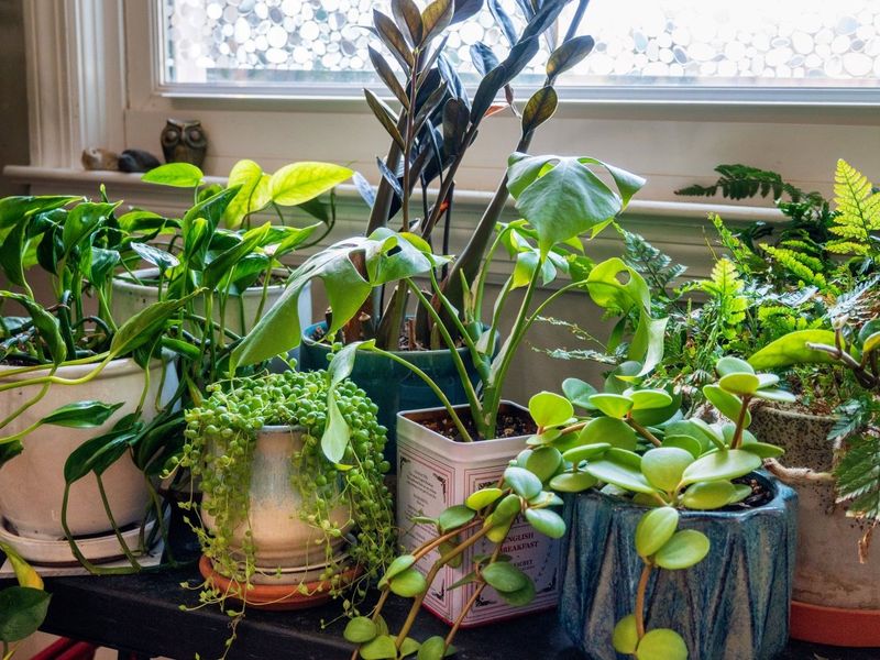 Clear Window Space Makes Removal Easier
