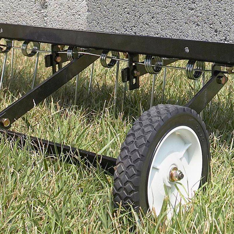Clearing Moss The Smart Way