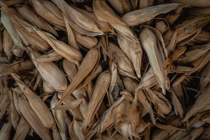 Cleveland’s Dick Goddard Put Corn Husks On His Hard-Winter List