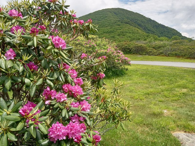 Climb Craggy Pinnacle For A 360-Degree View Climb Craggy Pinnacle For A 360-Degree View