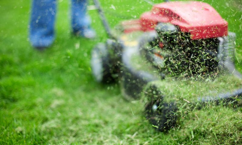 Clippings Return Nitrogen To The Soil