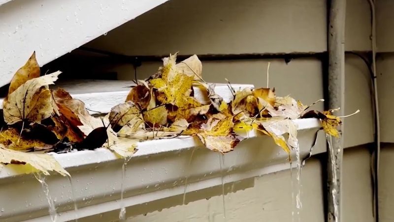 Clogged Gutters Create Another Moisture Problem Above