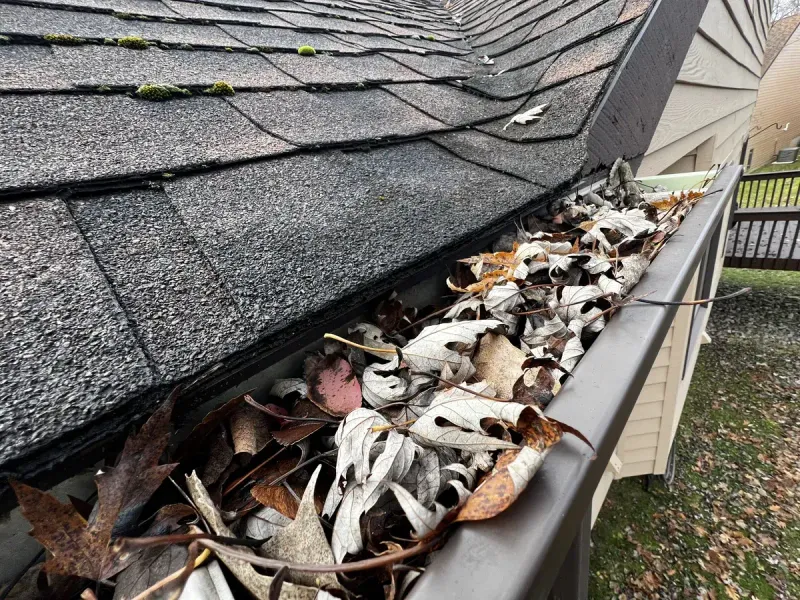 Clogged Gutters Put Roofs At Risk Clogged Gutters Put Roofs At Risk
