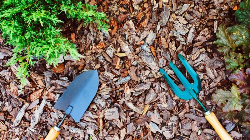 Coarser Mulch Needs A Slightly Deeper Layer