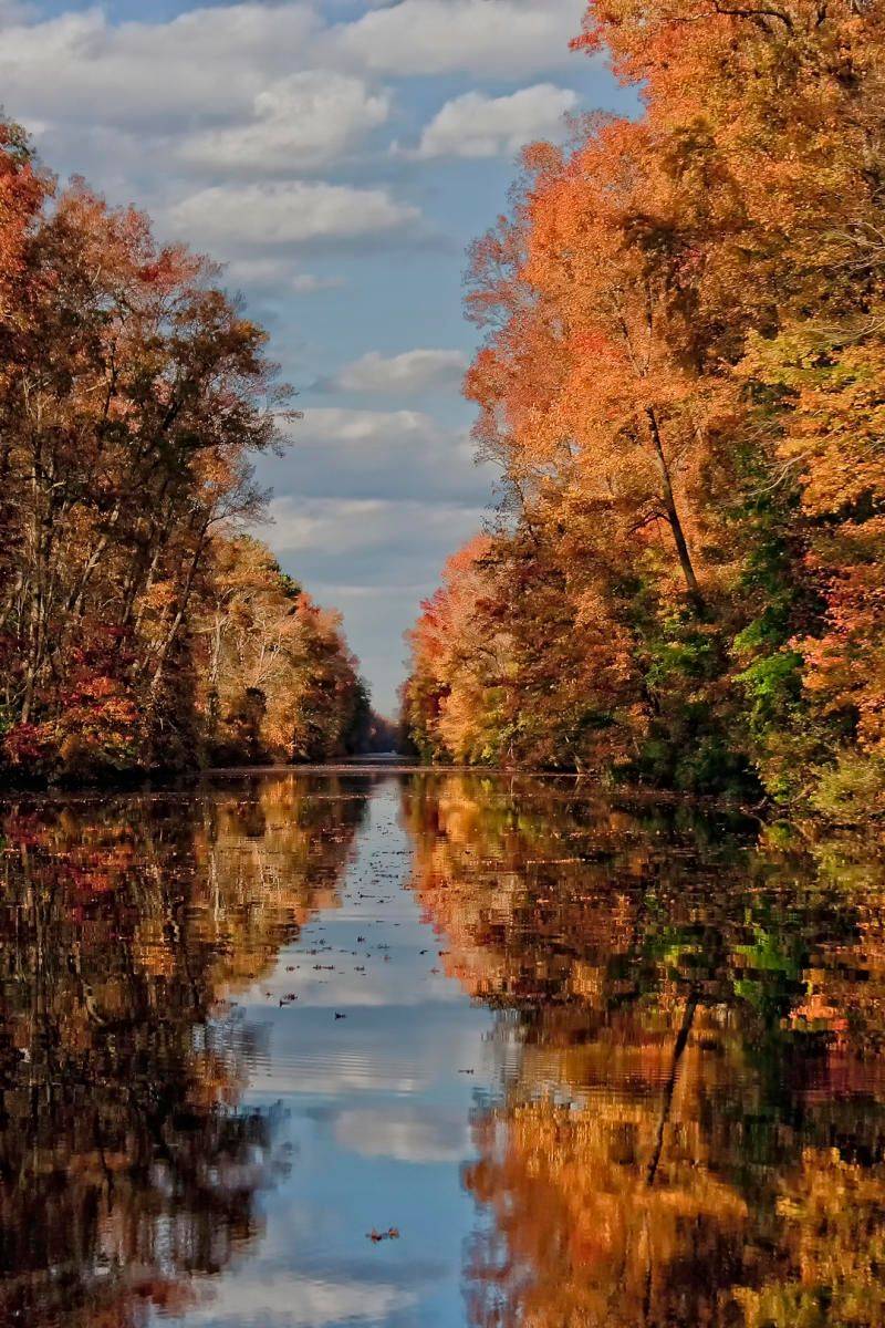 Coastal Areas Hold Color Into November