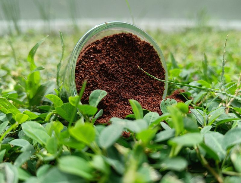 Coffee Grounds And Garlic Rarely Help